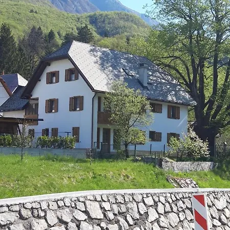Apartman Mmmm *